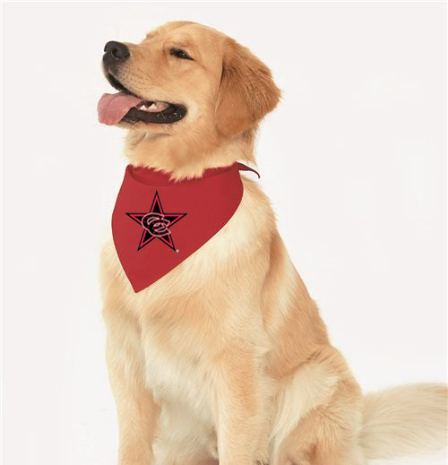 USA-Made Doggie Bandana